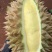 榴莲