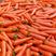 河南开封三红胡萝卜大量上市产地直供一手货源批发发全国