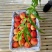 夏至梦毛桃，陕西夏至梦毛桃，夏至梦毛桃价格，红不软毛桃价