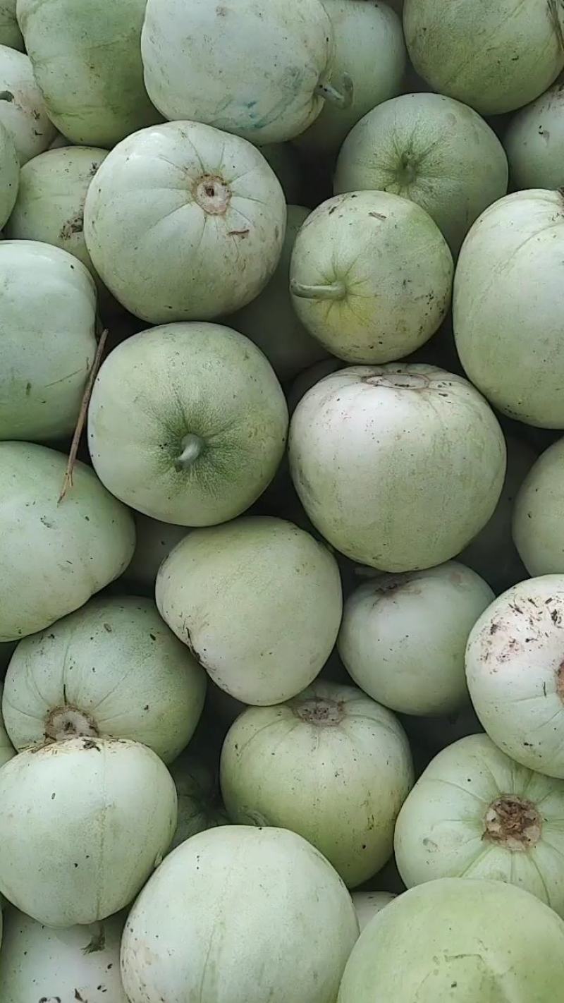 甜瓜