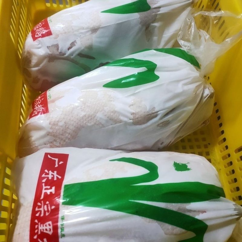 广东黑棕鹅棚鹅批发生鲜鹅酒店烧腊店烧腊原材料批发