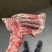 羊槽骨，肉多质量好，炖锅专用，一手货源，全国冷链发货
