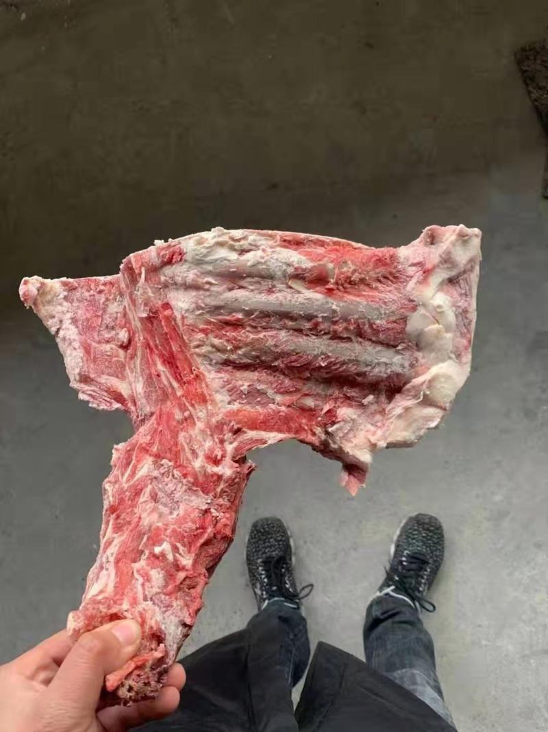 羊槽骨，肉多质量好，炖锅专用，一手货源，全国冷链发货