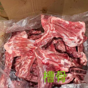 羊槽骨，肉多质量好，炖锅专用，一手货源，全国冷链发货