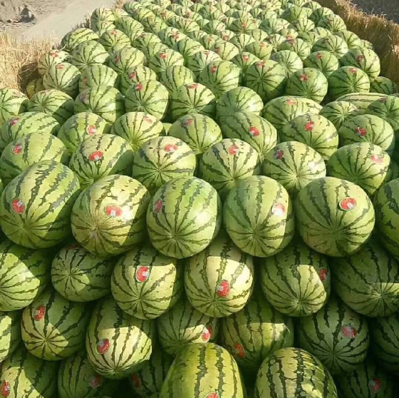 沙漠西瓜