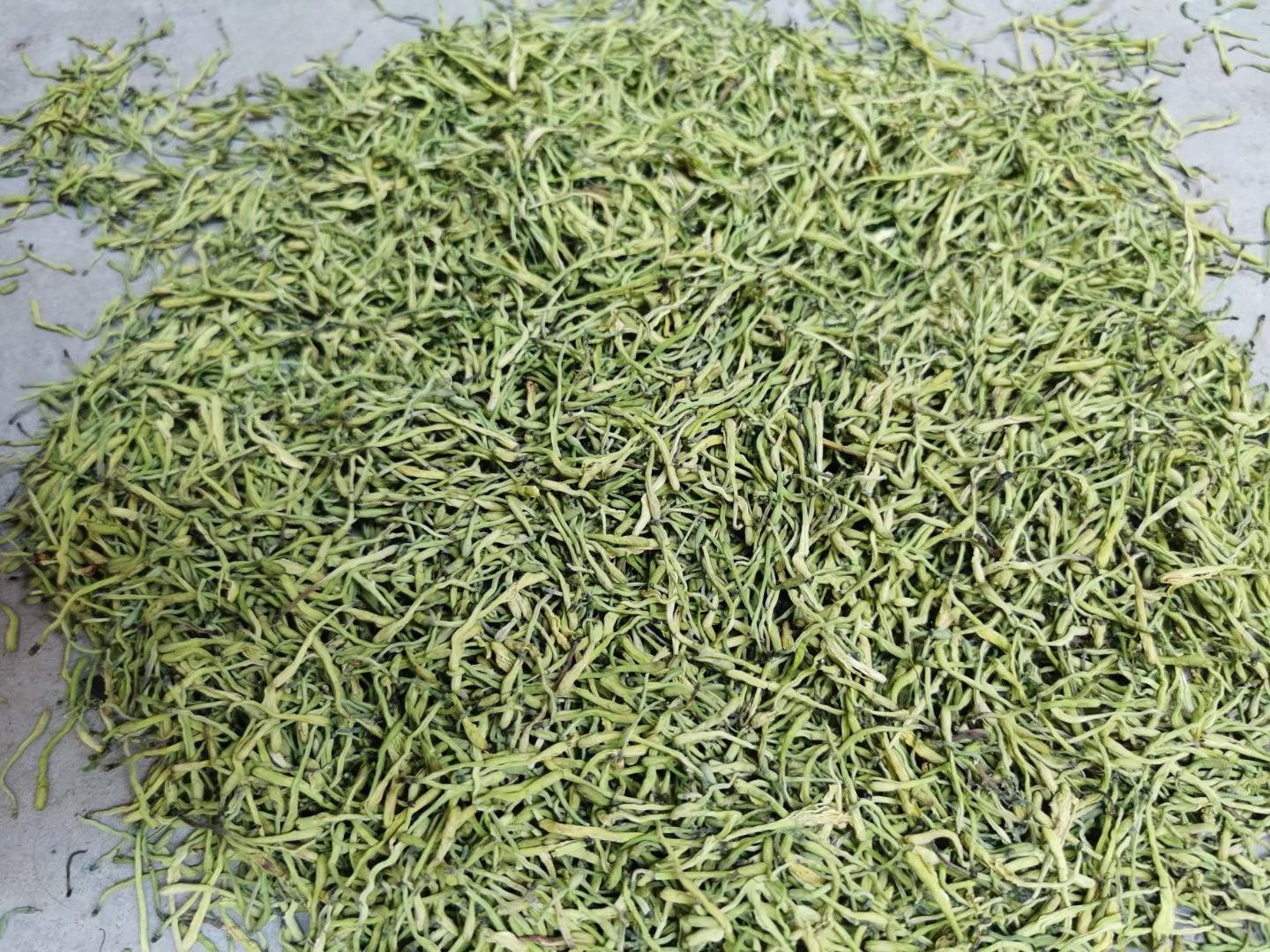 白芷质量对比图