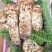 小金野生新鲜松茸顺丰空运冷链四川特产出口野生菌子蘑菇