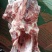 394胯骨，质量好，实拍图片，一手货源，量大从优