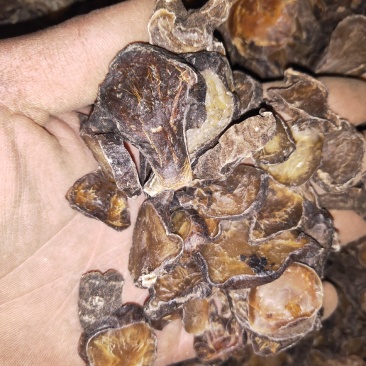 天雄片产地直发各种规格黄片货黑片货货好