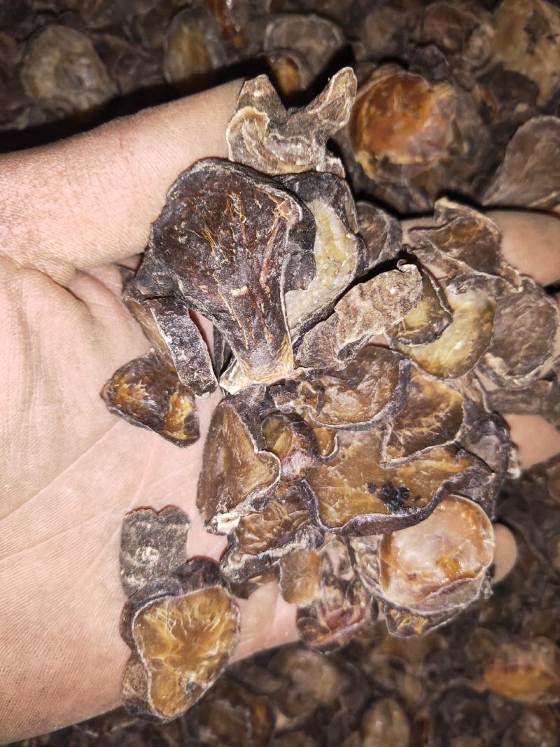 天雄片产地直发各种规格黄片货黑片货货好