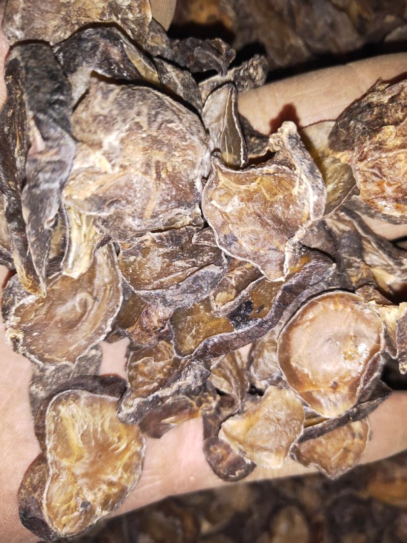 天雄片产地直发各种规格黄片货黑片货货好