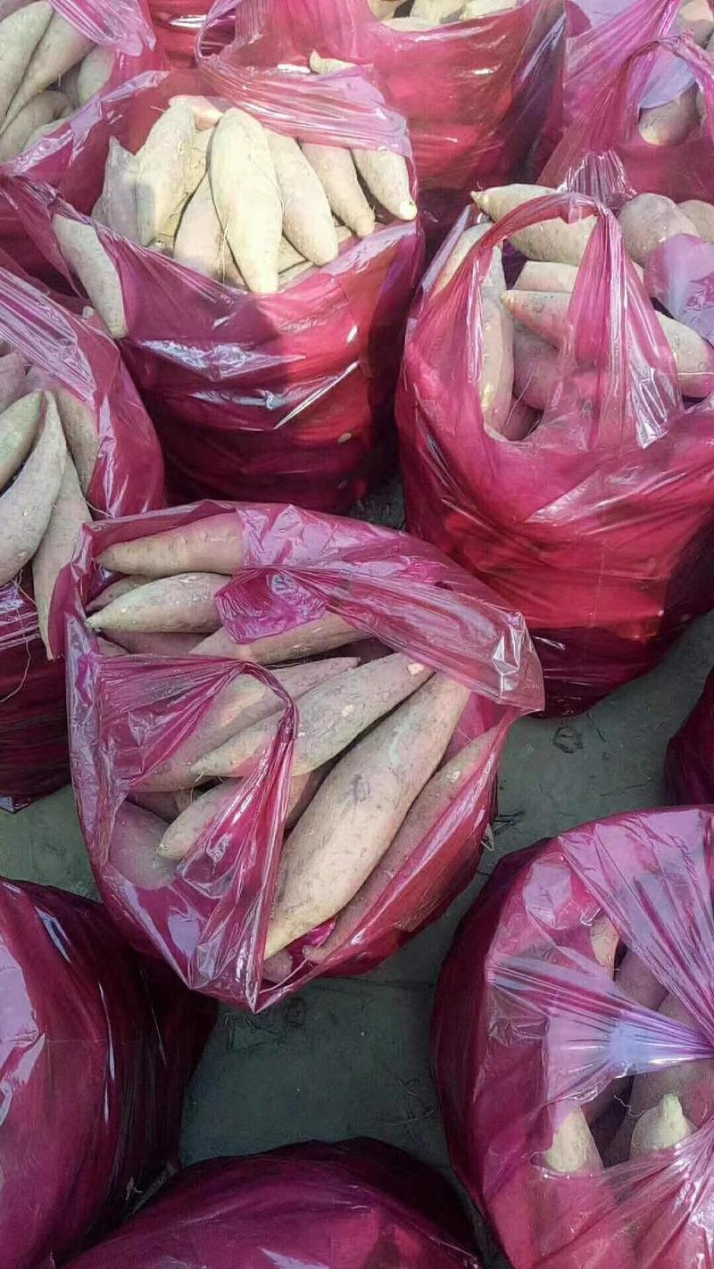河南开封红薯品种多样产地直发一手货源全国发货