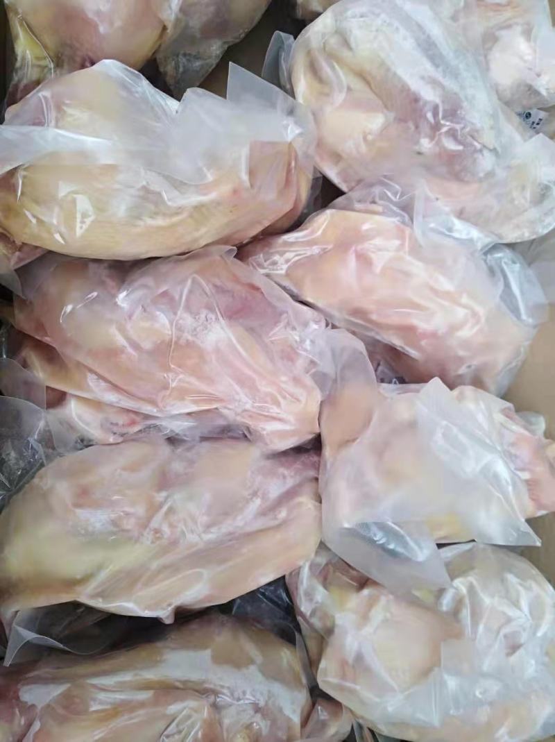 回填老母鸡，母鸡炖汤优质食材，营养丰富，