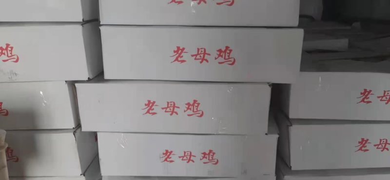 回填老母鸡，母鸡炖汤优质食材，营养丰富，