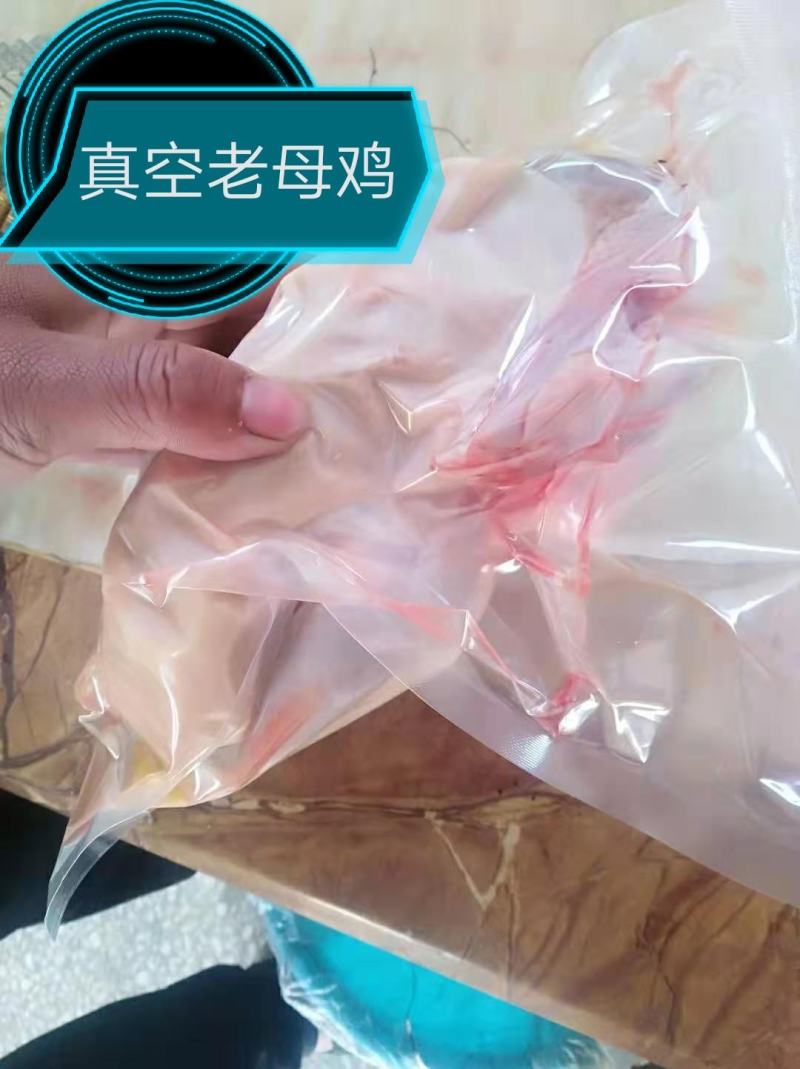 回填老母鸡，母鸡炖汤优质食材，营养丰富，