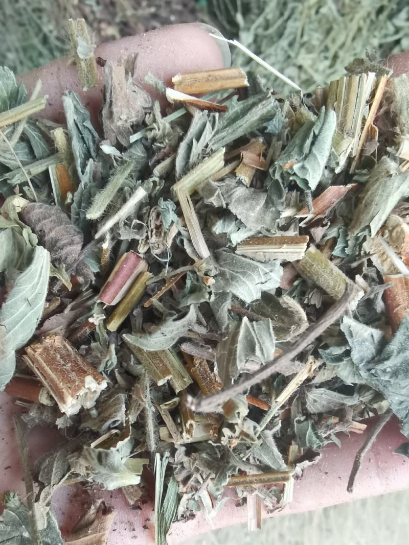 今年仙鹤草切断列马肥野生中药材河南南阳产地