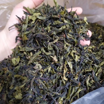 八仙茶惠来土山茶大坪土山茶潮汕八仙茶叶惠来高山茶叶10斤