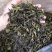 八仙茶惠来土山茶大坪土山茶潮汕八仙茶叶惠来高山茶叶10斤