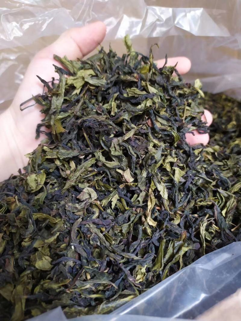 八仙茶惠来土山茶大坪土山茶潮汕八仙茶叶惠来高山茶叶10斤