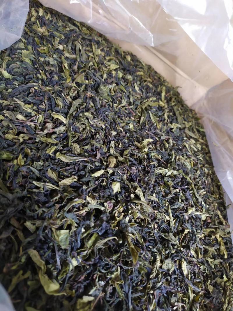 八仙茶惠来土山茶大坪土山茶潮汕八仙茶叶惠来高山茶叶10斤