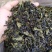 八仙茶惠来土山茶大坪土山茶潮汕八仙茶叶惠来高山茶叶10斤