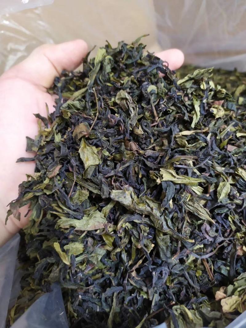 八仙茶惠来土山茶大坪土山茶潮汕八仙茶叶惠来高山茶叶10斤