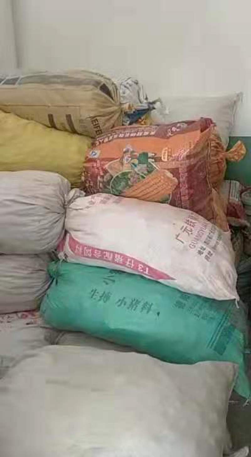 四川优质生姜，产地直发，一手货源，品质保证，欢迎选购