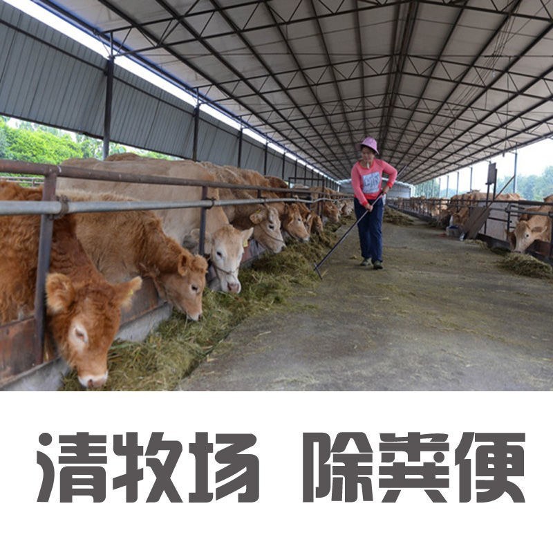 （包邮）锰钢加厚刮粪板铲刮粪猪场鸡鸽舍清粪铲羊场清粪