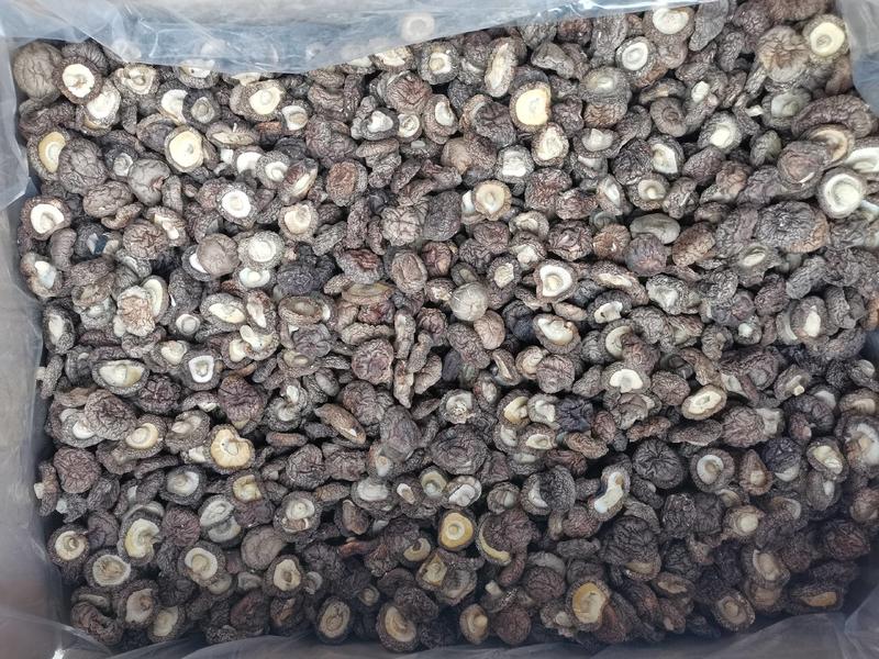 东北香菇精选优质干香菇常年大量批发可全国发货
