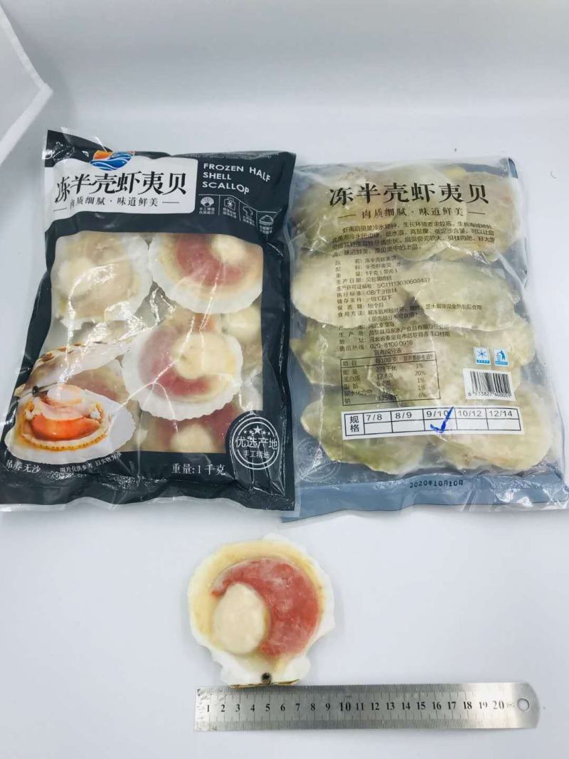 吊养/无沙/红膏/肥货/元贝/原装虾夷贝9/10