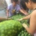 青皮核桃40mm以上青皮湿核桃万亩青皮核桃