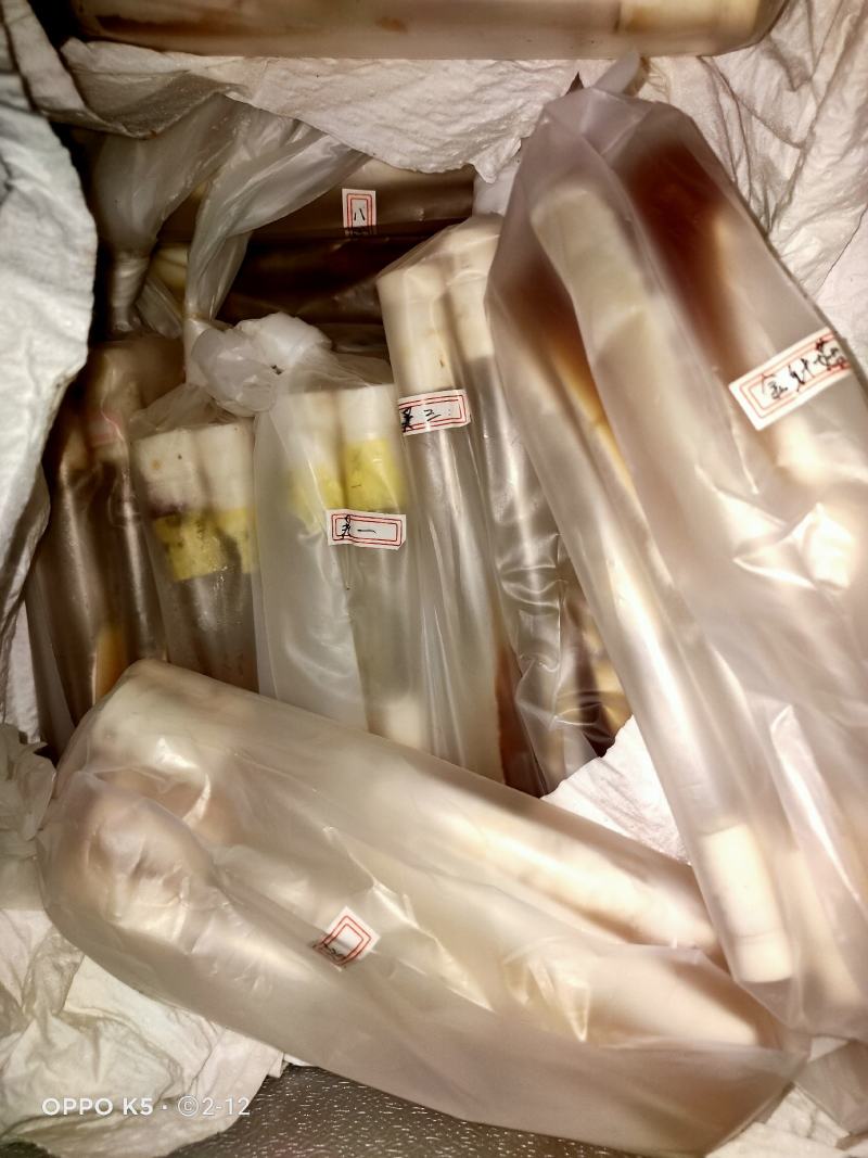 野生小香菌，试管，原种，各种人工菌试管原种都有，欢迎预定