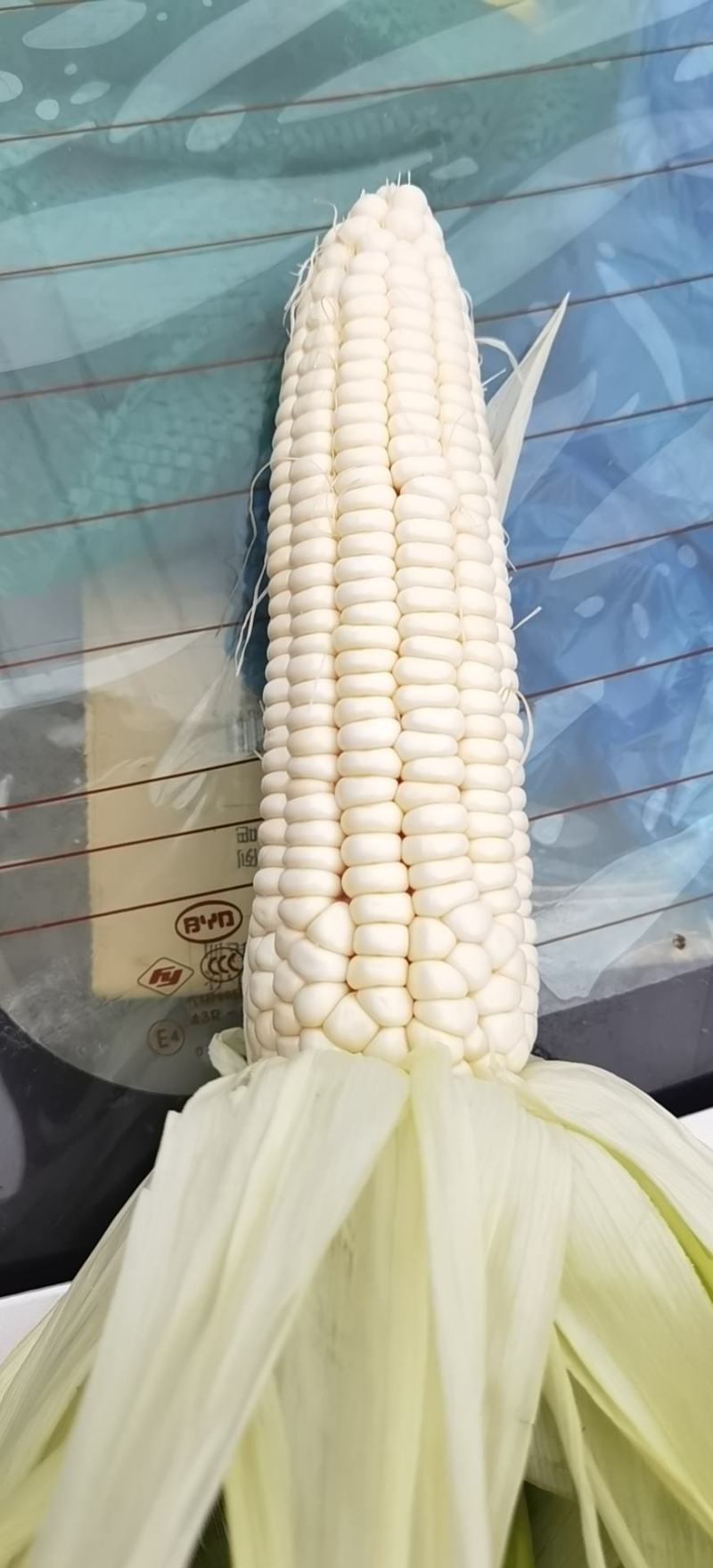 【优质】白糯玉米，花糯玉米上市中，支持整车供应，全国发货