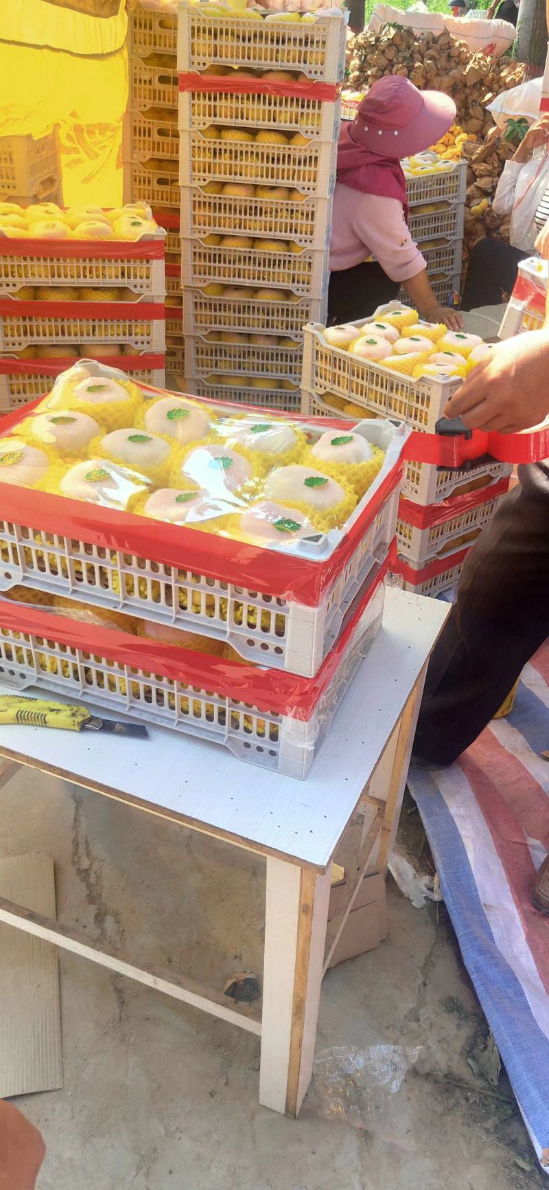 陕西黄金蟠桃，黄金蟠桃价格，中蟠十一黄金蟠桃产地行情