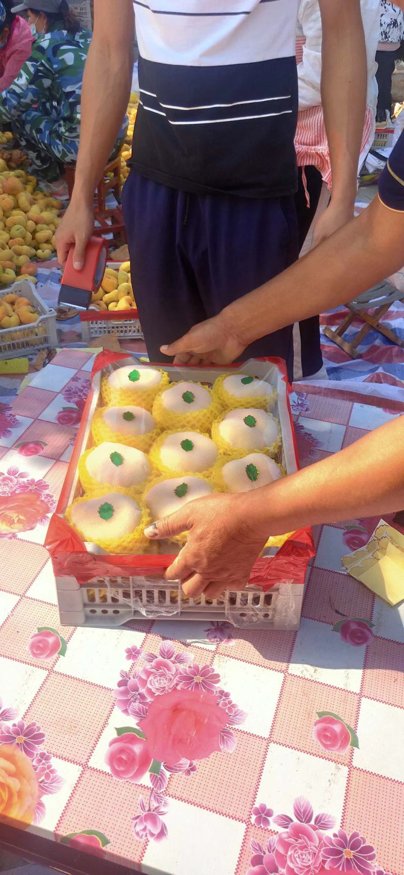 陕西黄金蟠桃，黄金蟠桃价格，中蟠十一黄金蟠桃产地行情