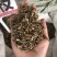 柴胡枝打粉专用柴胡柴胡枝量大代打粉量大从优