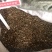 柴胡枝打粉专用柴胡柴胡枝量大代打粉量大从优
