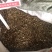 柴胡枝打粉专用柴胡柴胡枝量大代打粉量大从优