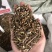 柴胡枝打粉专用柴胡柴胡枝量大代打粉量大从优