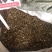 柴胡枝打粉专用柴胡柴胡枝量大代打粉量大从优