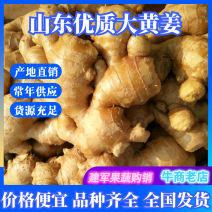 大姜色泽鲜黄，辣味浓厚，姜块大饱满，全国发货，货源充足