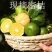 湖北高山蜜桔青桔产地批发/果园看货，保质保量6~6.5cm