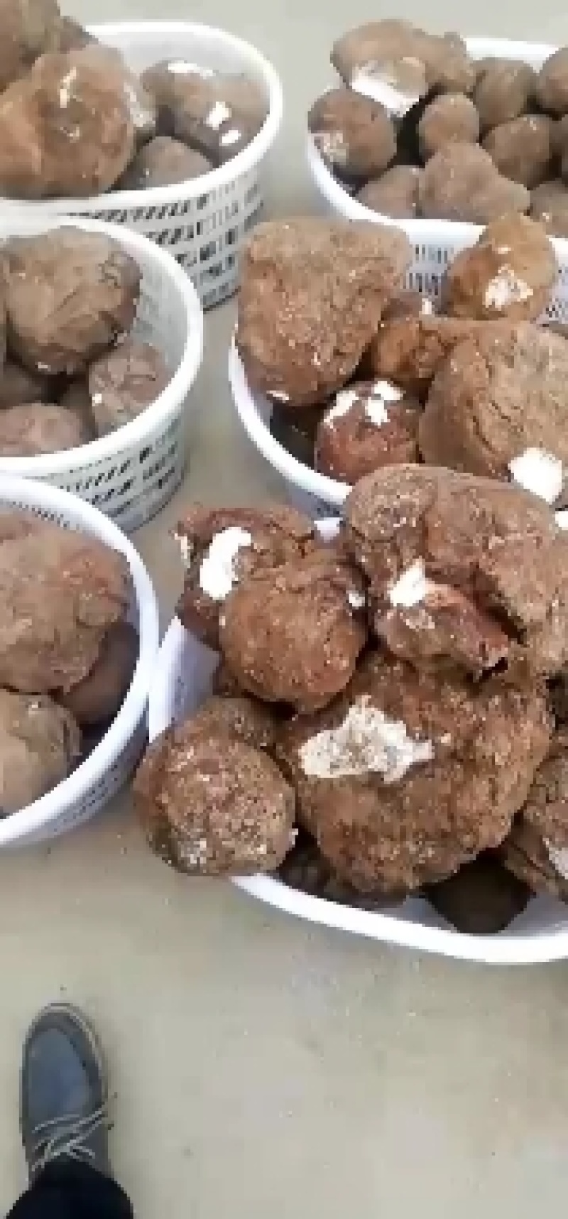 茯苓丁产地一手货，各规格供应支持订制，诚信经营品质好货