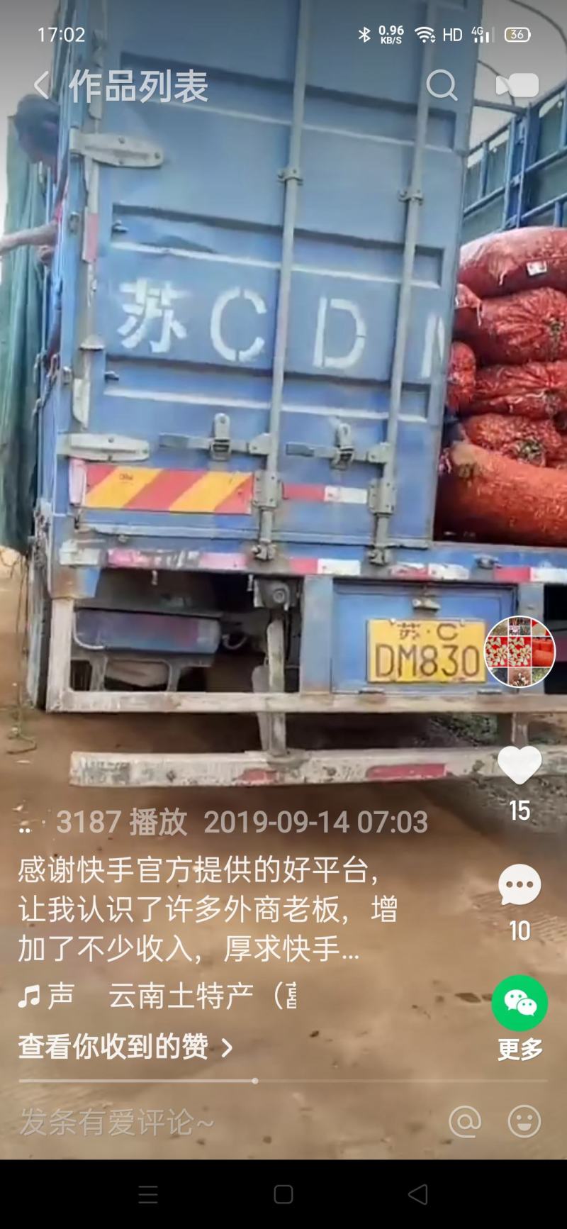 云南红河开远市碑格乡万亩藠头即将成熟上市