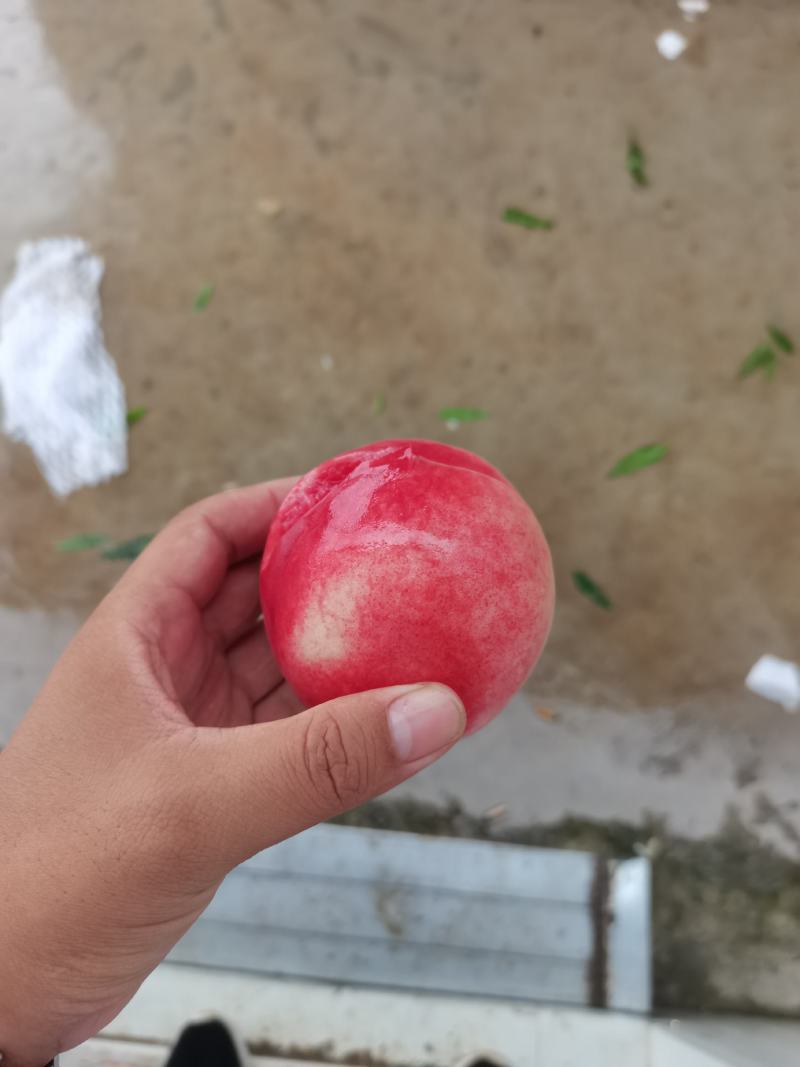 蜜桃