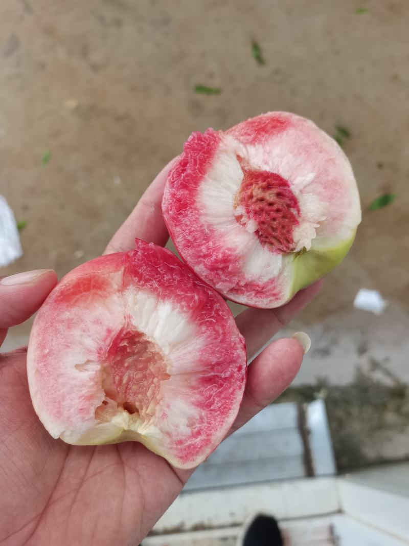 蜜桃
