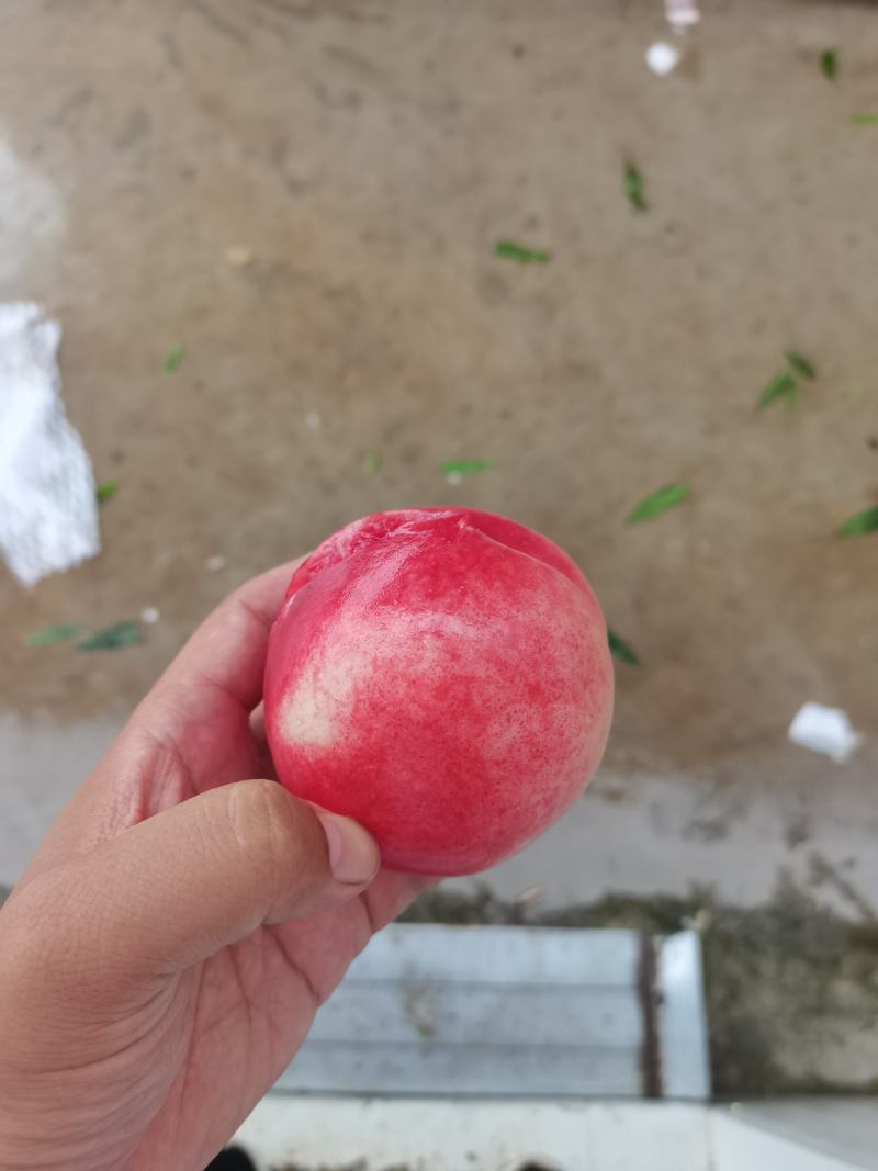 蜜桃