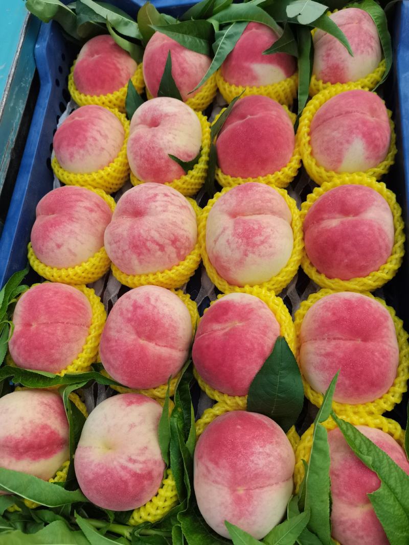 蜜桃