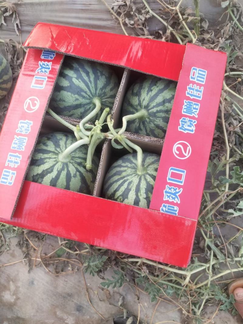 大量供应头茬无籽美都，基地直供，质量负责到底。