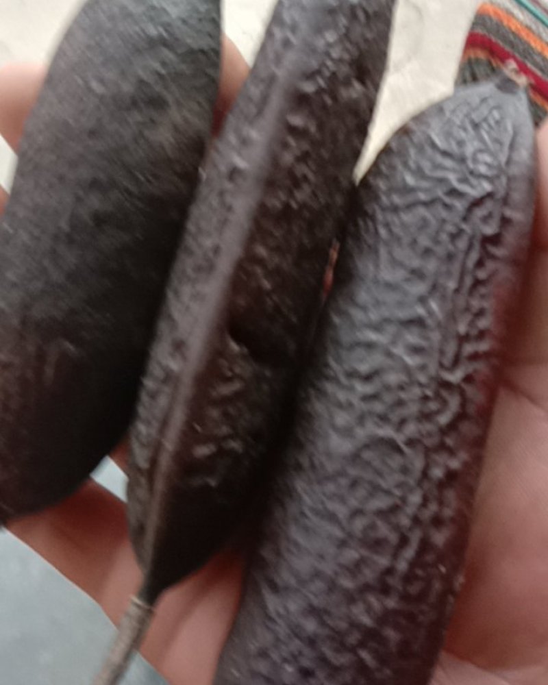 油皂角，皂角米，新货批发零售，洗头药用都可